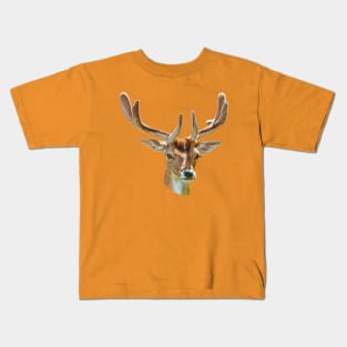 Fallow Buck in velvet Kids T-Shirt